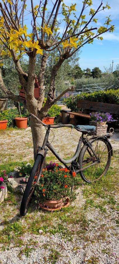 Antico Trullo Immerso Nella Campagna Alberobello Exterior foto